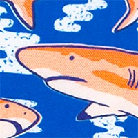 ARTHUS BOY STRETCH MOODY SHARK